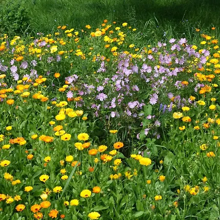 Apartment Im Kunst- Und Logierhaus Ihler