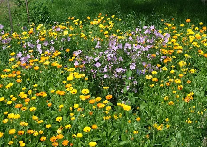 Apartament Im Kunst- Und Logierhaus Ihler